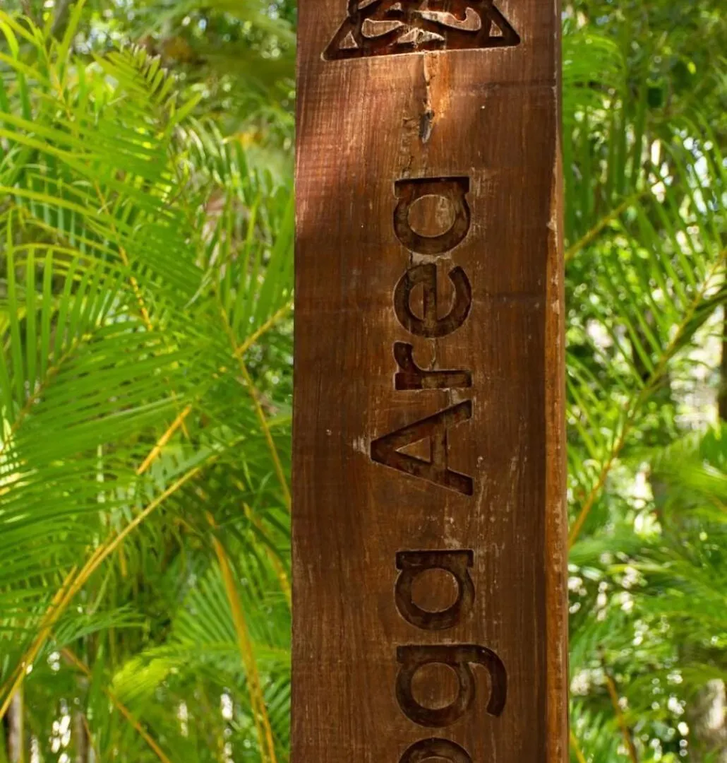 Selva Escondida Apartment Puerto Morelos Mexico